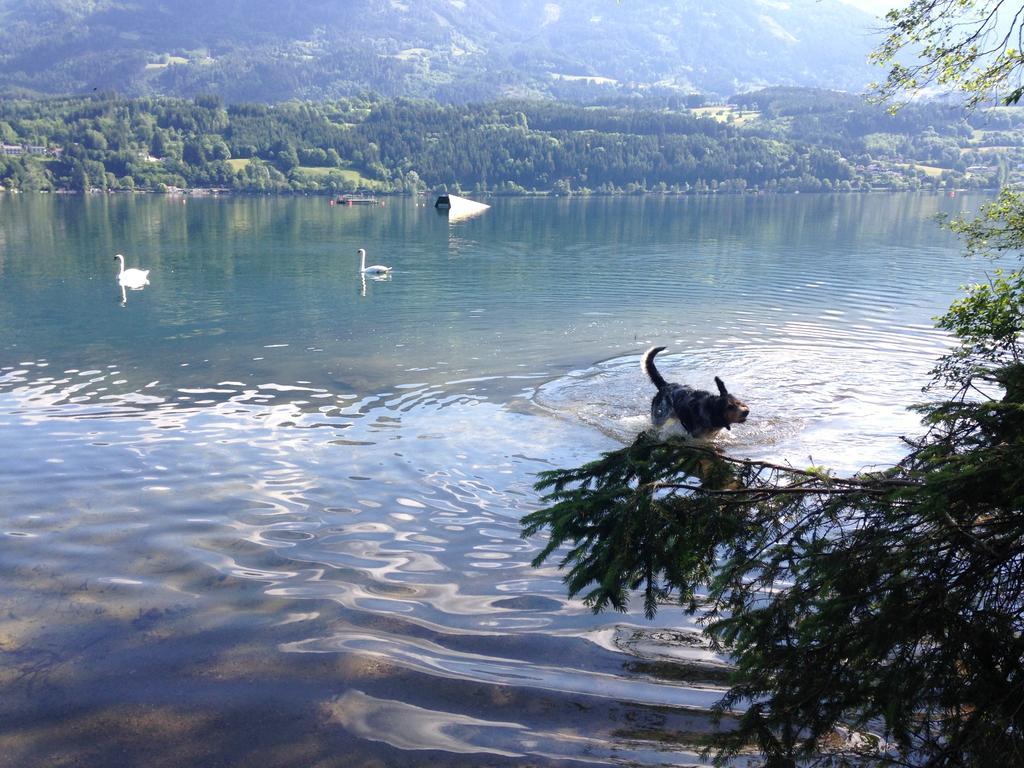 Ruhige Wohnung Mit Schoenem Eigengarten In Seeboden Am Millstaettersee Стая снимка