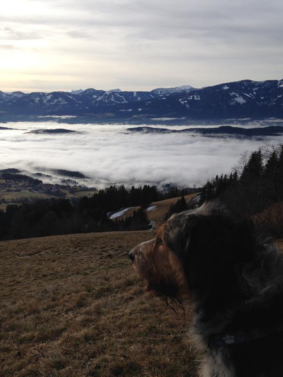 Ruhige Wohnung Mit Schoenem Eigengarten In Seeboden Am Millstaettersee Екстериор снимка