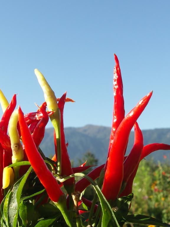 Ruhige Wohnung Mit Schoenem Eigengarten In Seeboden Am Millstaettersee Стая снимка