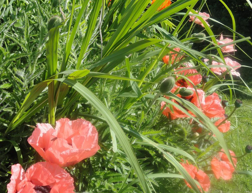 Ruhige Wohnung Mit Schoenem Eigengarten In Seeboden Am Millstaettersee Екстериор снимка