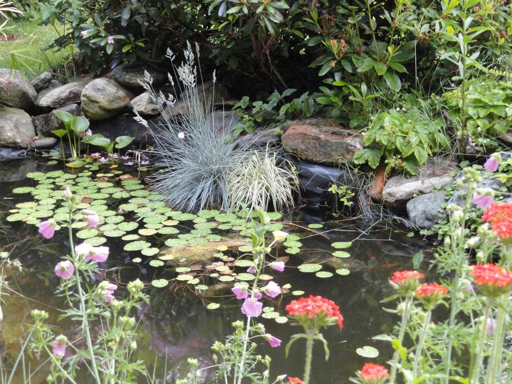 Ruhige Wohnung Mit Schoenem Eigengarten In Seeboden Am Millstaettersee Екстериор снимка